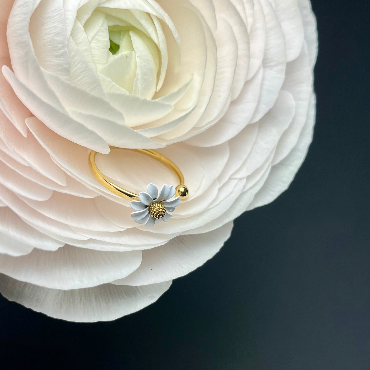 ANELLO PLUME