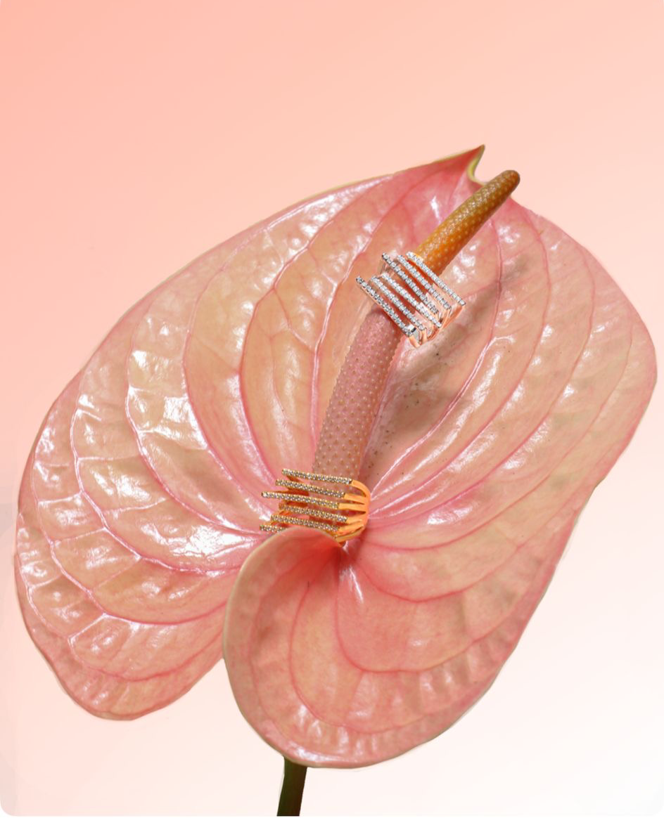 ANELLO CURMAYEUR