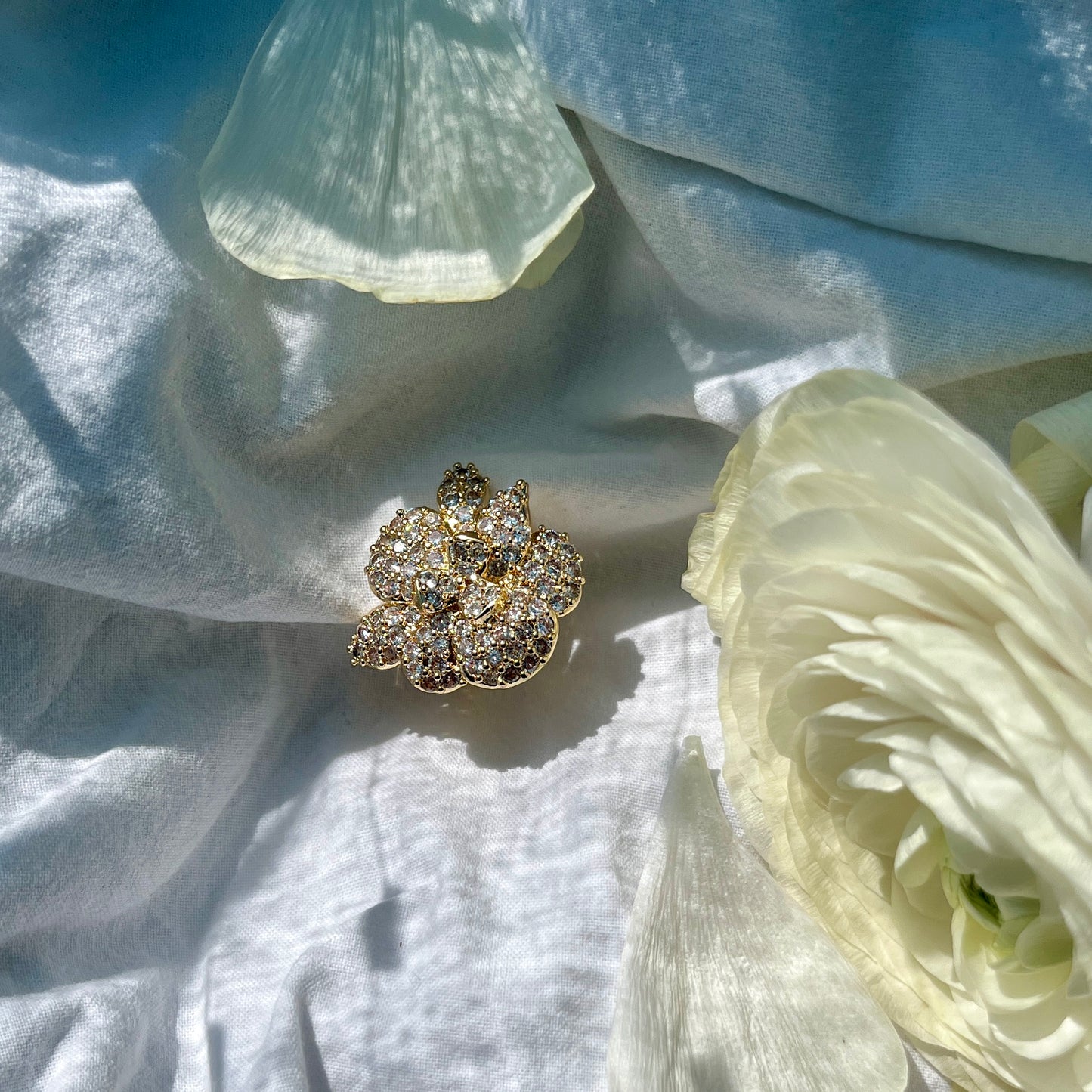 ANELLO NOA