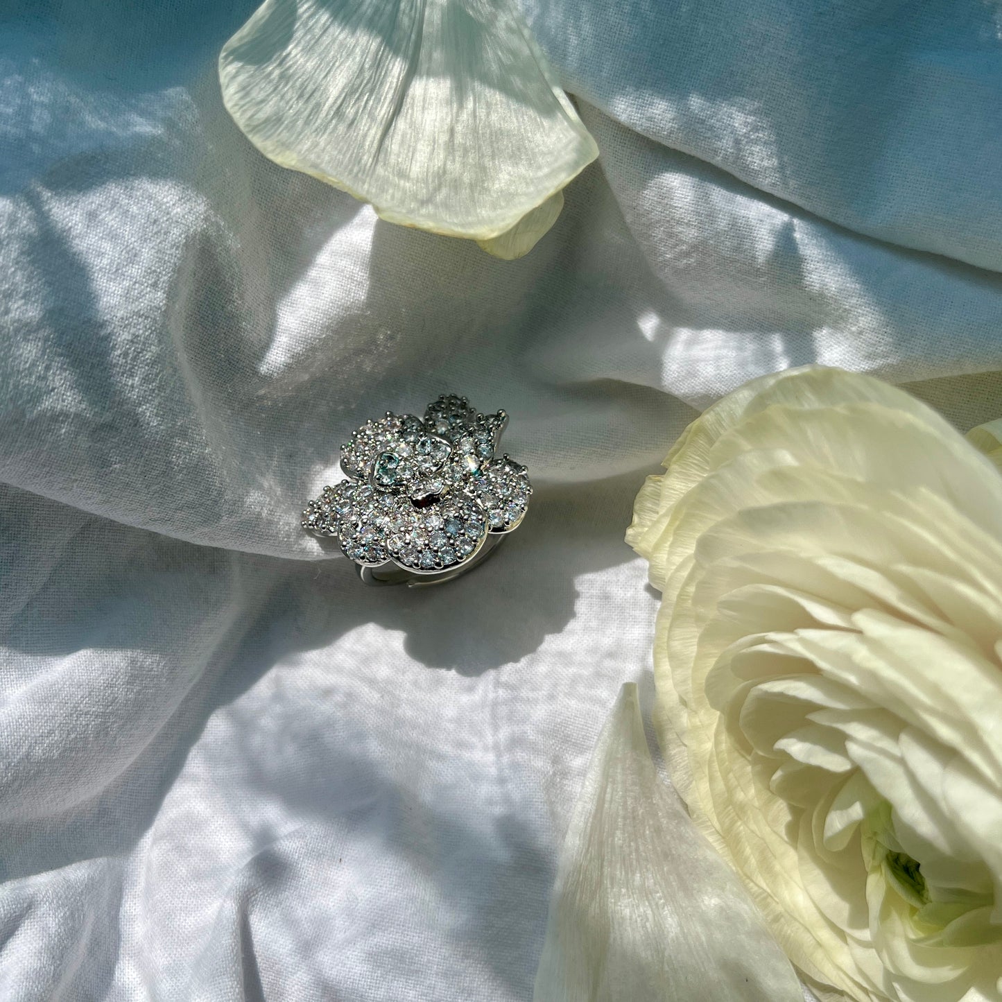 ANELLO NOA
