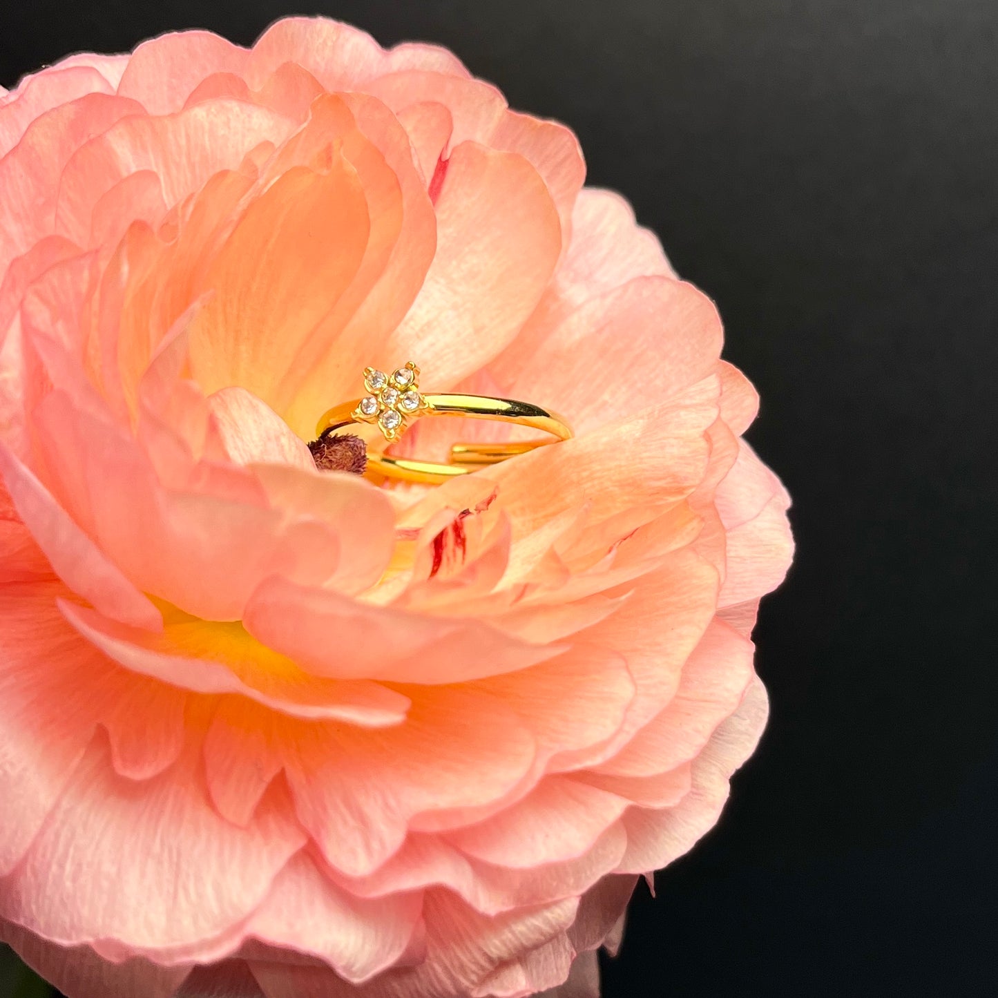 ANELLO MAVI