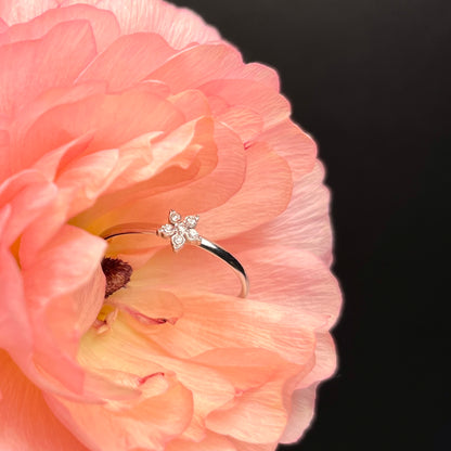 ANELLO MAVI