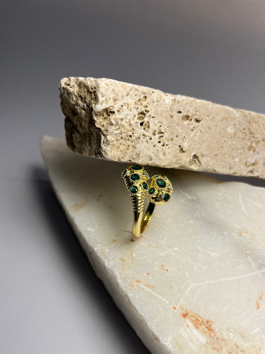 ANELLO ZIRCONIA