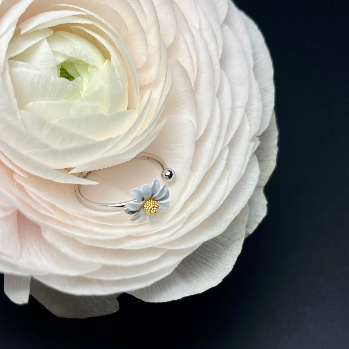 ANELLO PLUME