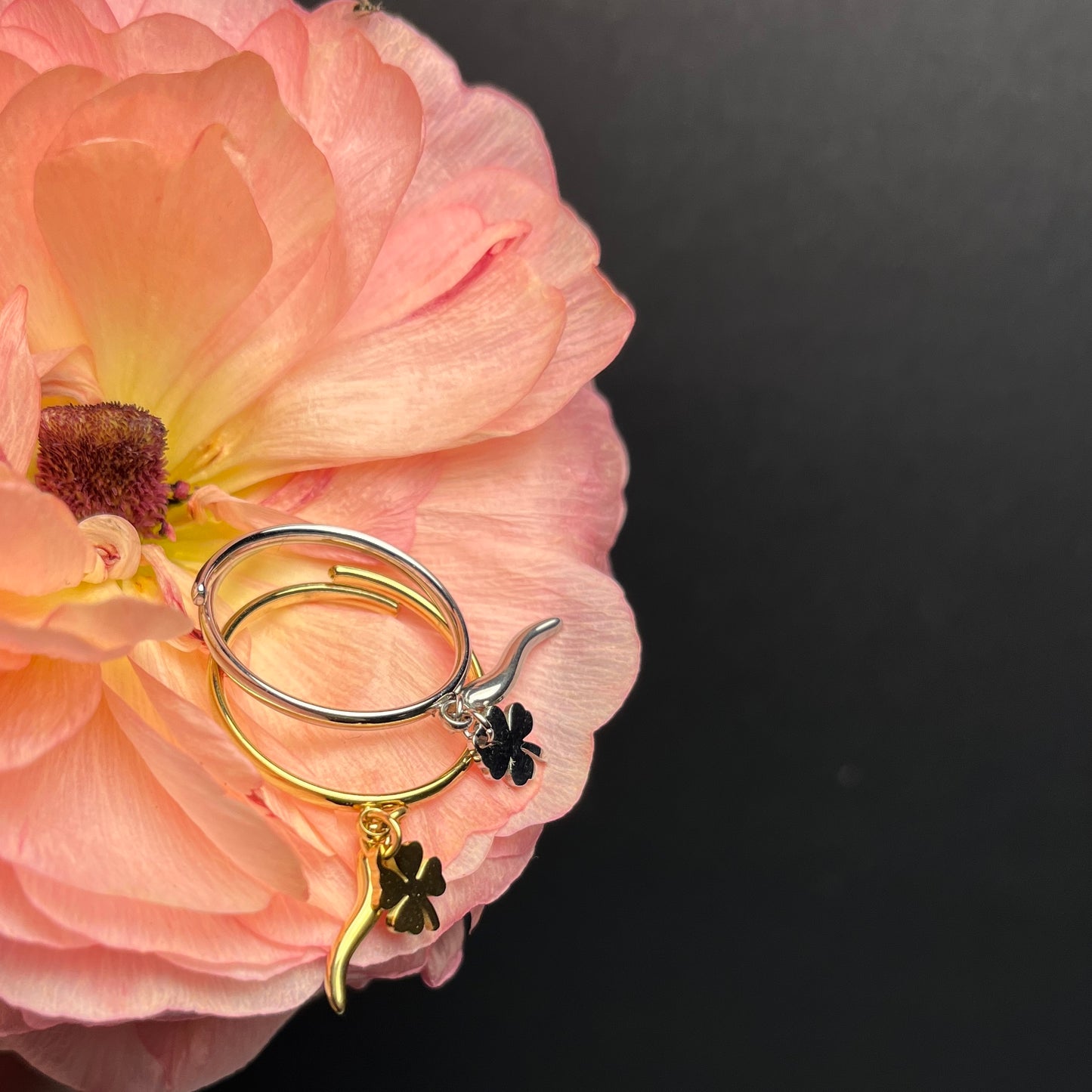ANELLO MARITERI