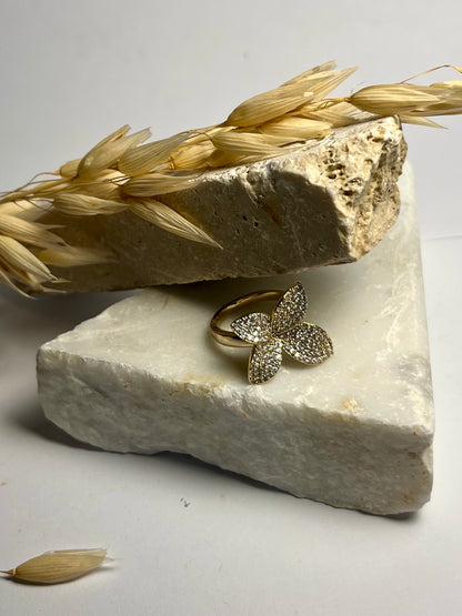 ANELLO NACRE